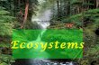 Ecosystem (Described very attractively)