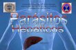 Parasitos del higado (parasitologia medica)