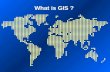 What is GIS ?