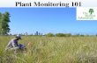 Plant monitoring 101