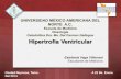 Nosología; Hipertrofia ventricular.