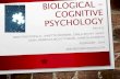 Biological Cognitive Psychology Pesentation