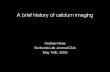 A Brief History of Calcium Imaging