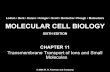 Molecular Cell Biology Lodish 6th.ppt - Chapter 11   transmembrane transport of ions and small molecules