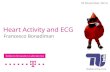 Heart Activity and ECG