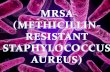The Superbug MRSA !!
