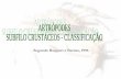 Filo artrópodes 05   crustáceos - classificação