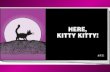 Here, Kitty Kitty