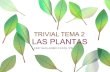 Trivial plantas