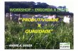 [Palestra] André Souza: Desafios da terminação a pasto - Produtividade x Qualidade - Workshop BeefPoint Engorda a Pasto outubro/2013