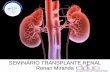 Transplante renal - Liga de Nefrologia UFC - Sobral