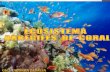 Ecosistema arrecifes de coral