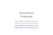 Shameleon - Cdz bronze 02 - Phoénix