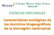 Biorregion neotropical