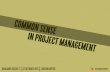 Common sense in Project Management