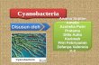 12 ciri khusus cyanobacteria