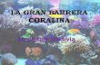 La Gran Barrera Coralina