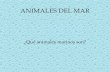 Los Animales Marinos.