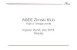 Asee Klub Skoplje 2013. Vojislav Rodić