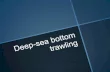 Deep-sea bottom trawling