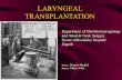 Laryngeal transplantation