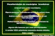 Peculiaridades de municipios_brasileiros