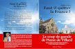 Livre de Pierre de Villard : "Faut-il quitter la France ?"