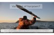 Vangnet of harpoen: Social media-pijlen op kansengroepen richten
