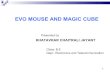 Evo mouse and magic cibe