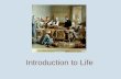 Intro to life - Biology