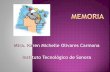 Procesos Psicologicos MEMORIA