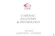 Cure cardiac anatomy physiology questions