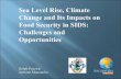 Sea Level Rise, Climate Change and Its Impacts on Food Security in SIDS: Challenges and Opportunities