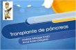 pancreas transplante