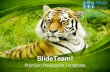 Amur tiger animals power point templates themes and backgrounds ppt layouts