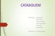 Catabolism final 27.09.13