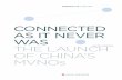 Connected as it never was. The launch of China's MVNOs