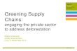 Greening supply chains: Engaging the private sector to address deforestation