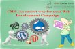CMS - an easiest way for your Web Development Campaign