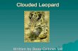 Beau clouded leopard