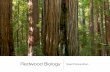 Redwood biology