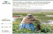 Towards a better understanding of custodian farmers and their roles: insights from a case study in Cachilaya, Bolivia