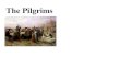 7. Pilgrims v. Puritans