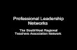 Professional Leadership Networks1