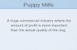 Say No to Puppy Mills