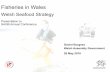 Dan Burgess (Welsh Assembly Government) – Welsh Seafood Strategy (2009)