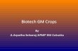 Biotech GM Crops 2015
