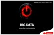 Big Data voor Nationale Uitgeefdag 2012