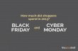 2013 Black Friday and Cyber Monday Shopping Stats