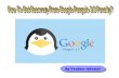 How To Get Recovery From Google Penguin 3.0 Penalty